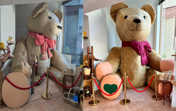 GTdW-VorherNacherbild