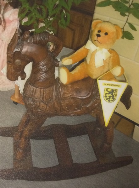 Foto-23-01-17-13-51-27