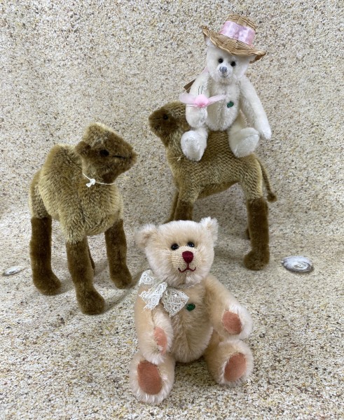 Foto-12-07-22-13-27-54-1