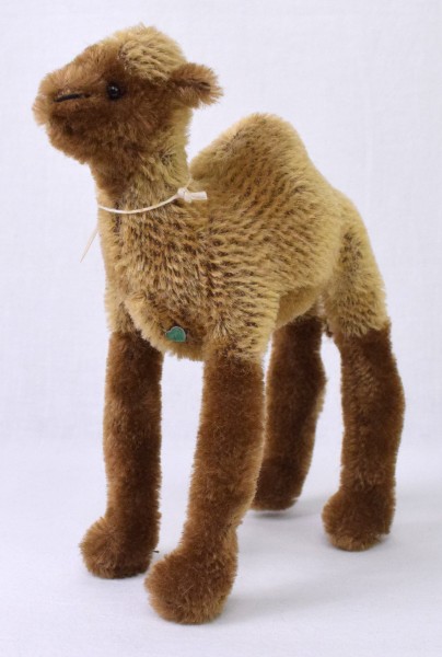 Kamel - Holzwolle