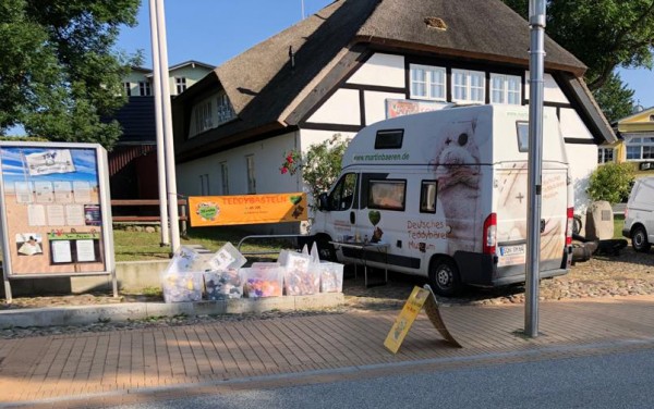 Foto-13-07-21-20-00-29AOjKzFLYzB9Ty